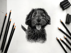 Playful sketch-style memorial of you and your pet mid-laugh, with loose, joyful shading.

