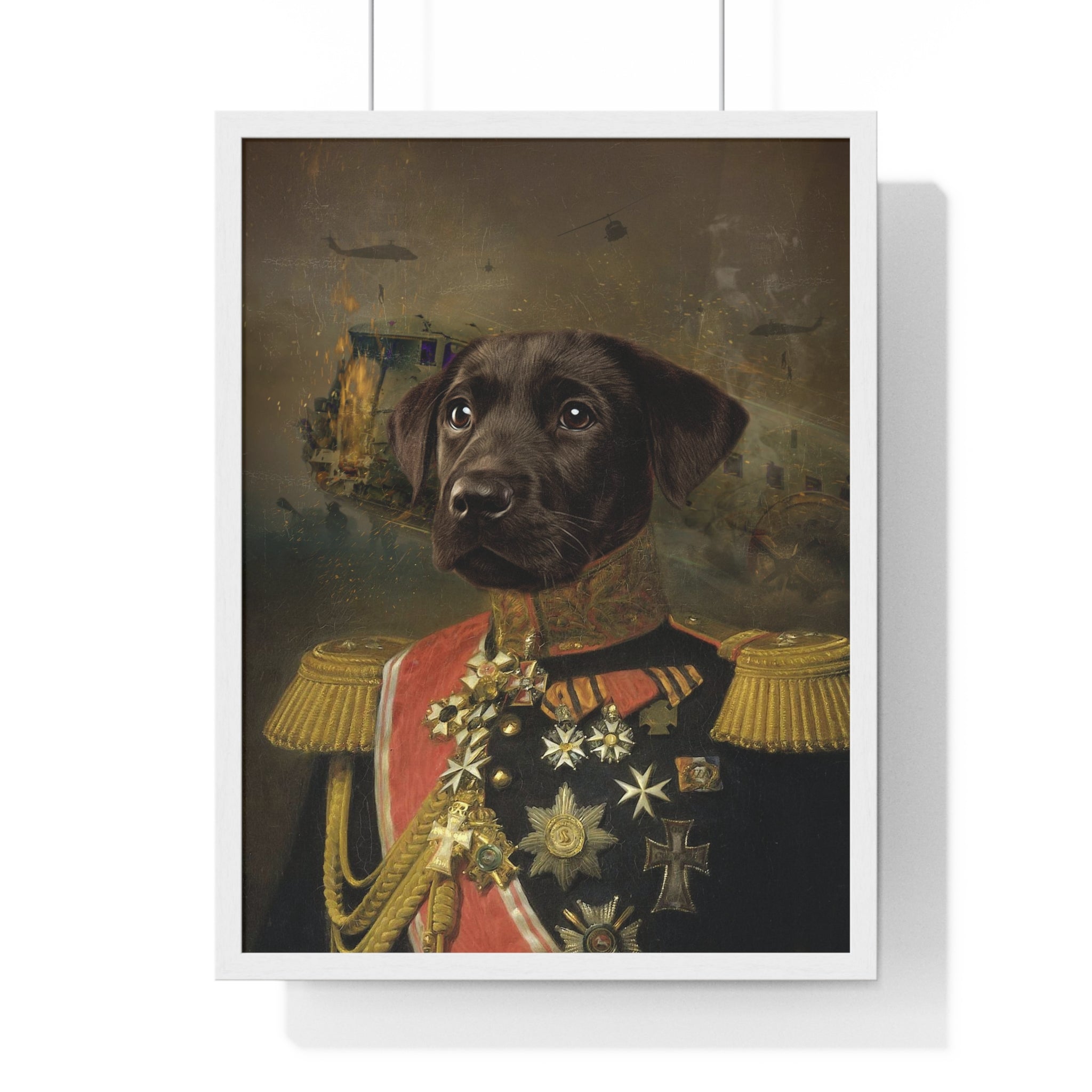 Royal dog in military attire on a White Framed.
