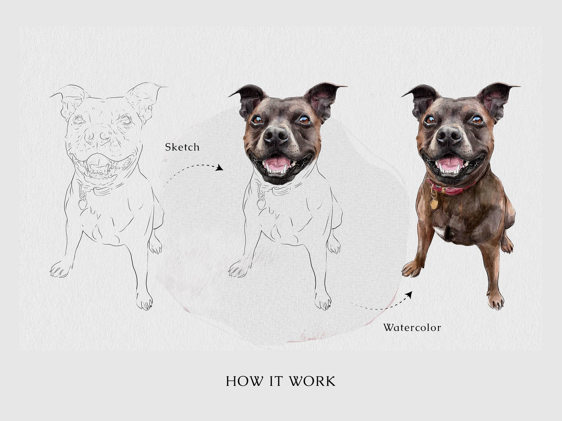 Illustration of a dog's transformation from a sketch to watercolor.