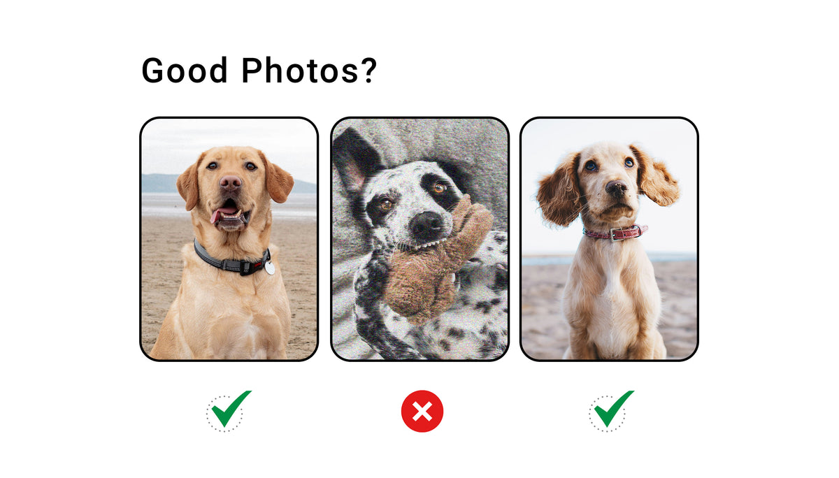 Good Photo vs. Bad Photo: How to Choose the Best for Your Custom ...