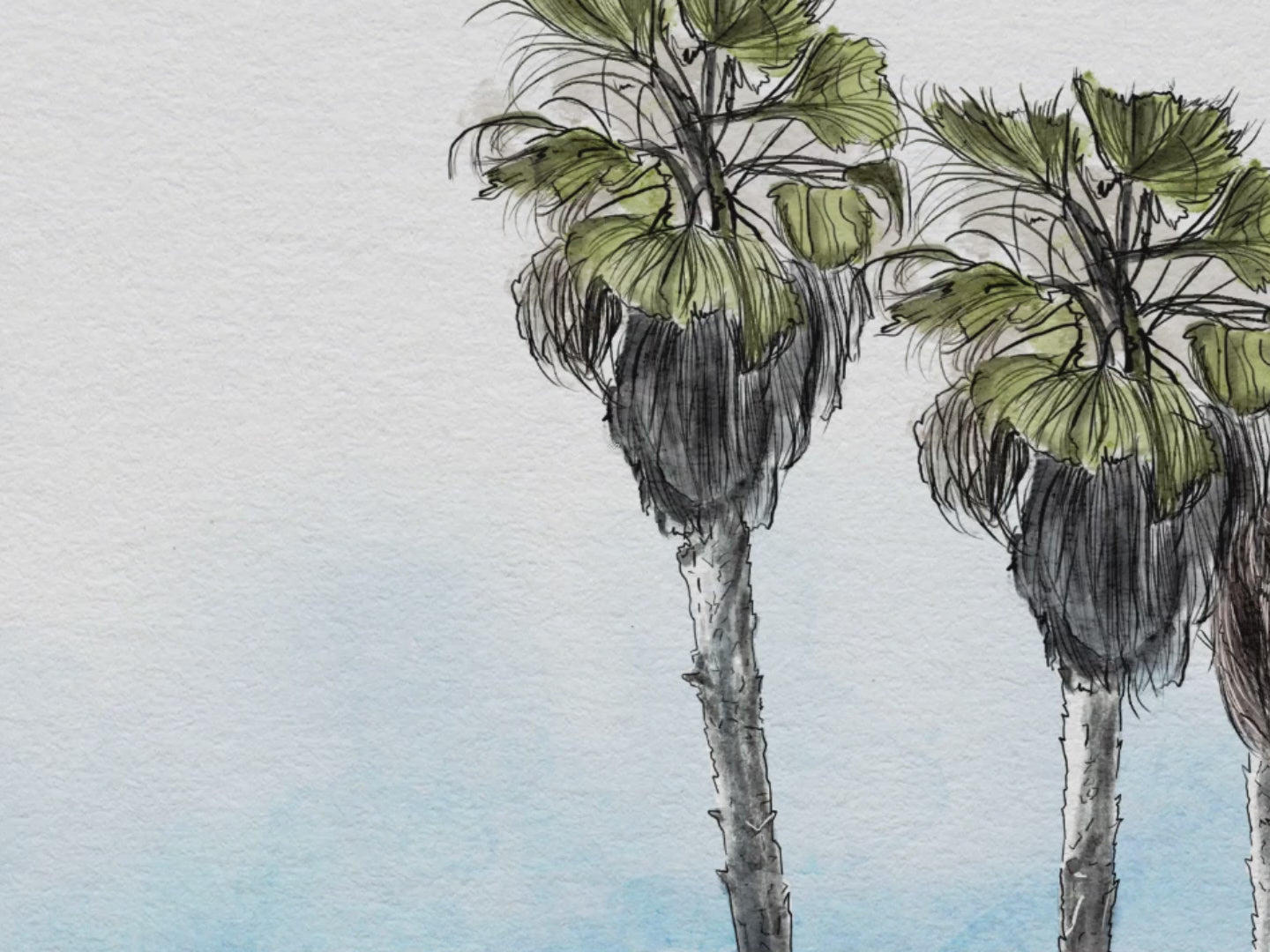 Watercolor Venue- Video