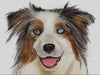 Watercolor Pet Portrait