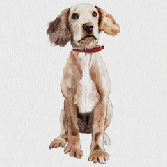 water color pet portrait