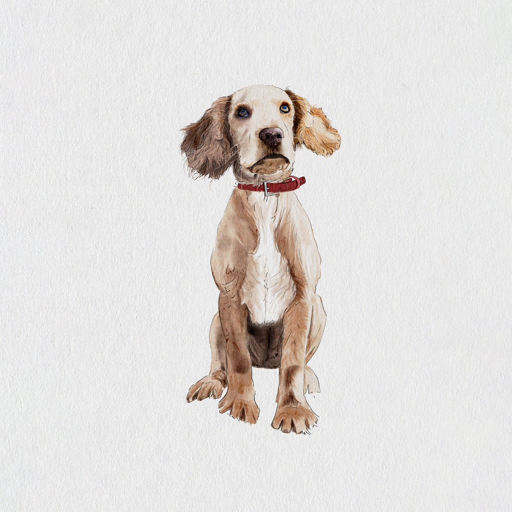 Dog wearing a red collar on a textured.